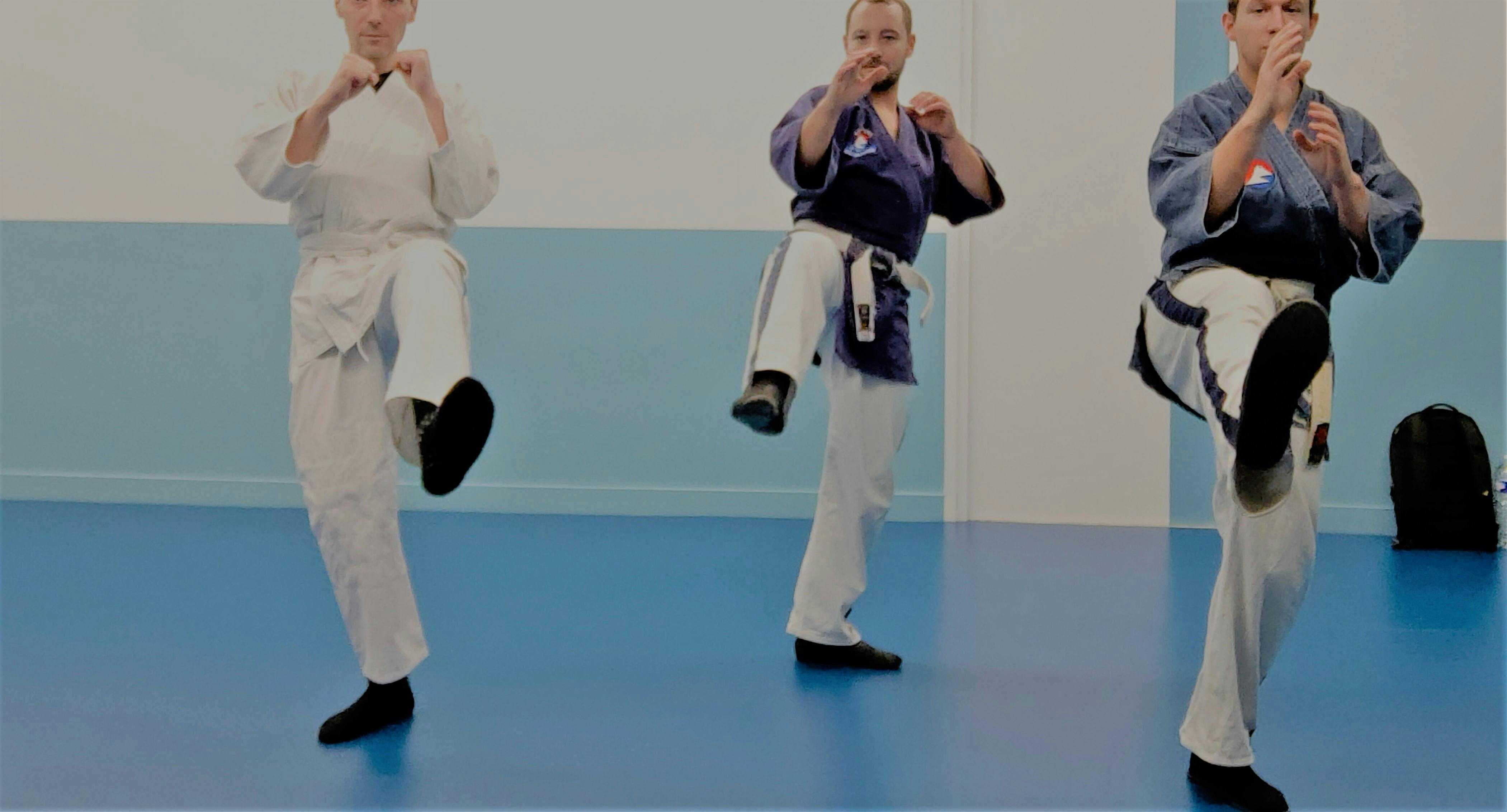 yoseikan training